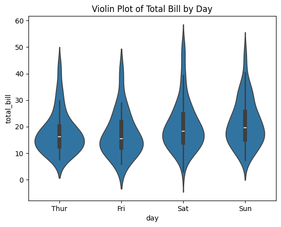 Violin Plot